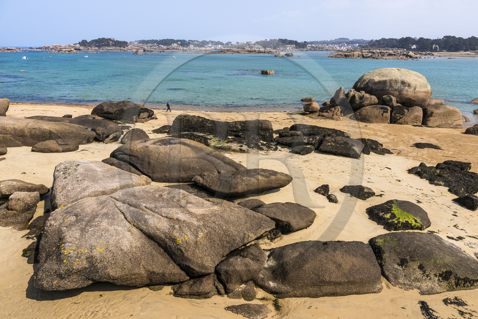 France, Côtes-d'Armor (22), Côte de Granit Rose, Trégastel, Ile Renote, le chaos granitique émerge de la plage à marée basse