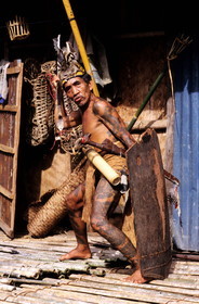 Malaisie, île de Bornéo, Sarawak, guerrier dayak (tatoué) de la tribu des Iban avec lance, parang (sabre) et bouclier