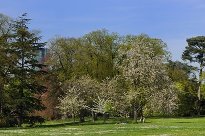France, Paris (75), le Bois de Boulogne, parc de Bagatelle