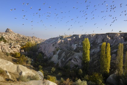 Turkey, Central Anatolia, Nevsehir Province, Cappadocia listed as World Heritage by UNESCO, Uchisar troglodytic village and Guvercinlik Vadisi (the Dovecote Valley)