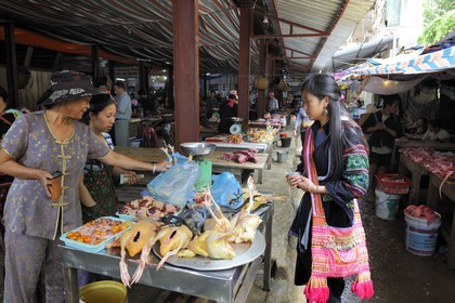 Vietnam, province de Lao Cai, marché de Sapa, la minorité Hmong Noir