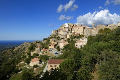 France, Haute-Corse (2B), Balagne, village perché de Speloncato