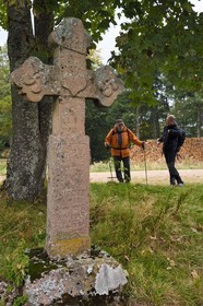 France, Haut Rhin, Thannenkirch, hiking in the Taennchel massif, cross dated 1851 on the top of the Schillig probably dedicated to a lumberjack who died there