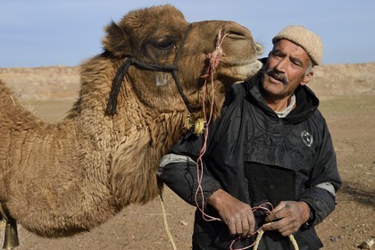 Iran, Isfahan province, Dasht-e Kavir desert, Mesr in Khur and Biabanak County, camel owner Ali Saraban and one of his camels