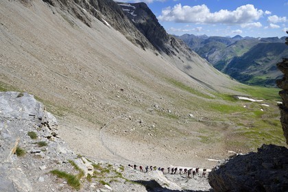 France, Alpes de Haute Provence, Uvernet Fours, Mercantour National Park, Ubaye valley,  lake tour hiking trail that climbs to the Petite Cayolle pass (2639 m)