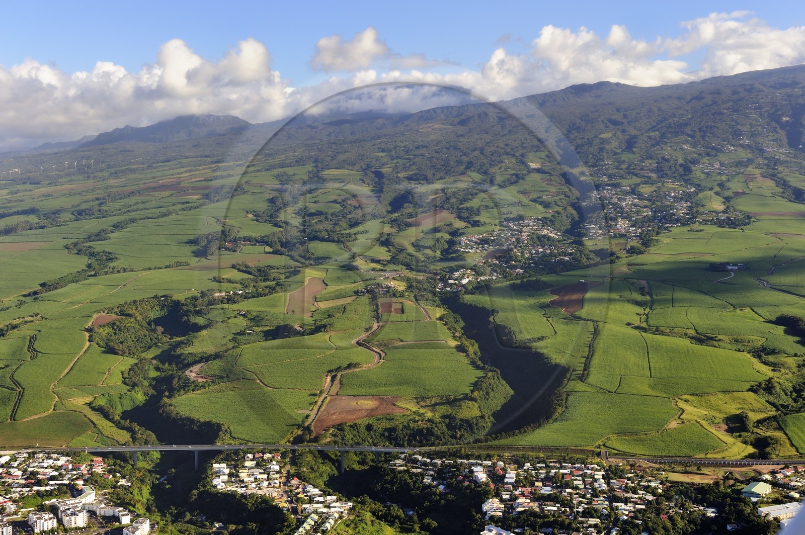 France, île de la Réunion, côte Nord-Est entre Sainte-Suzanne et Sainte-Marie, champs de cannes à sucre (vue aérienne)