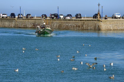 France, Seine-Maritime (76), Côte d'Albatre, Pays de Caux, Saint-Valery-en-Caux, bateau de pêche entrant dans le port
