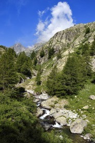 France, Alpes-Maritimes (06), parc national du Mercantour, vallée de la rivière Valmasque et sommets de la haute Valmasque
