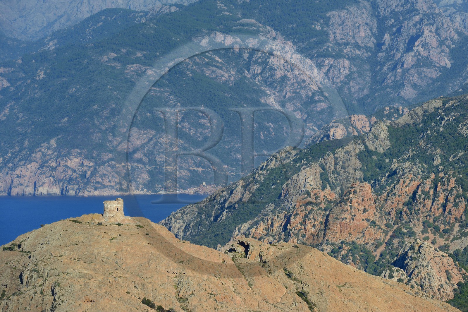 France, Corse du Sud, Golfe de Porto, listed as World Heritage by UNESCO, the Capo Rosso and the Genovese Tower of Turghiu (Turghio) in the background (aerial view)