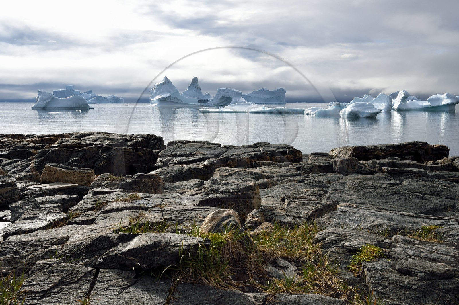 Groenland, cote ouest, Ile de Disko, baie du village de Qeqertarsuaq, icebergs dans la brume