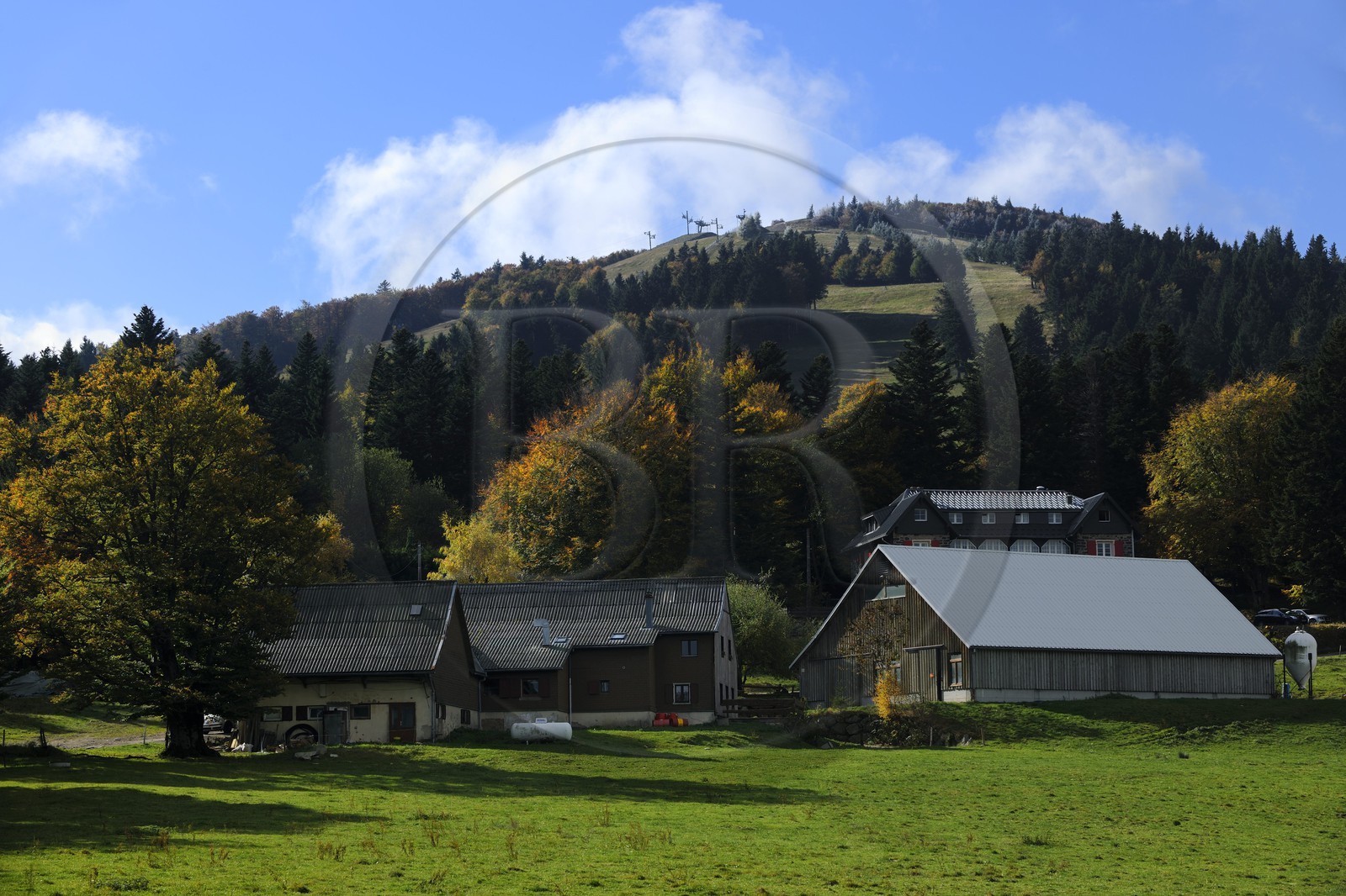 France, Haut-Rhin (68), la route des Crêtes, ferme auberge marcaire du Grand Hêtre