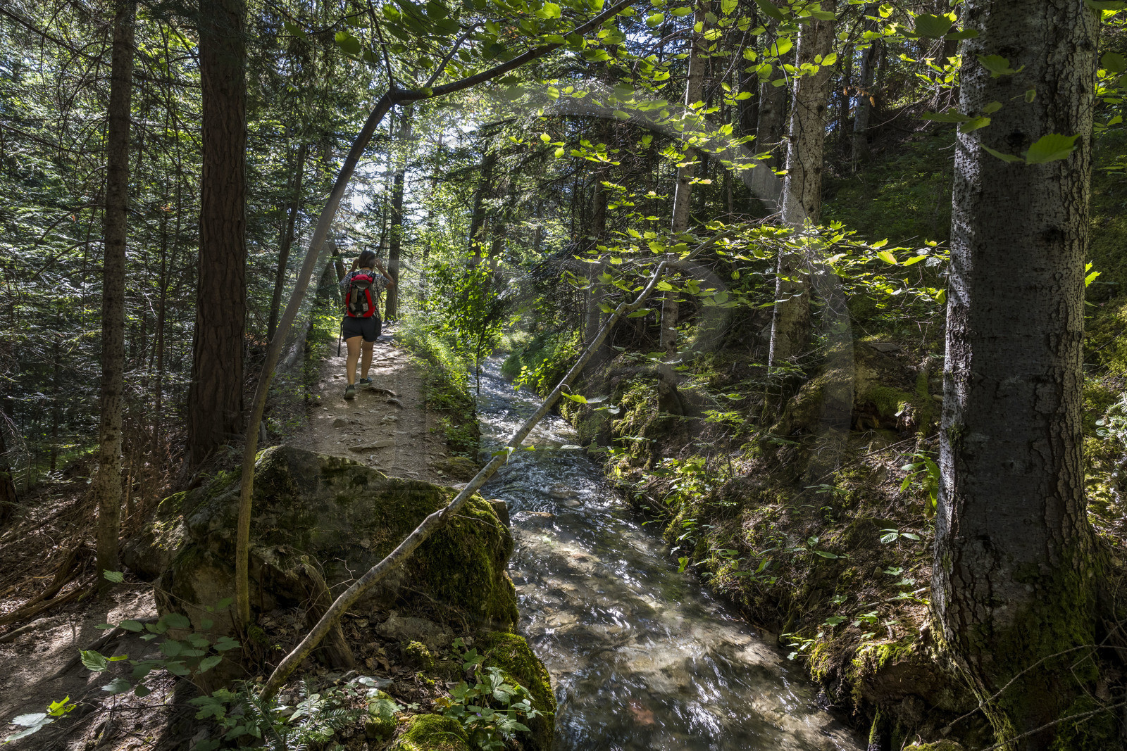 France, Hautes Alpes (05), Chateauroux-les-Alpes, randonnée de la Cascade de la Pisse par le canal de Gramorel