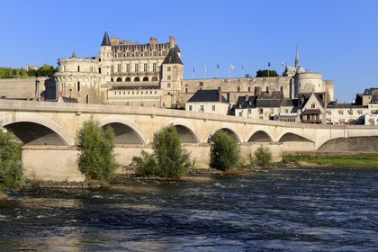 France, Indre et Loire (37), Vallée de la Loire classée Patrimoine mondial de l'UNESCO, château d'Amboise surplombant la Loire