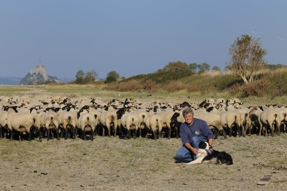 France, Ille-et-Vilaine (35), les herbus ou prés salés du Mont-Saint-Michel, l'éleveur de moutons de près salés Yannick Frain
