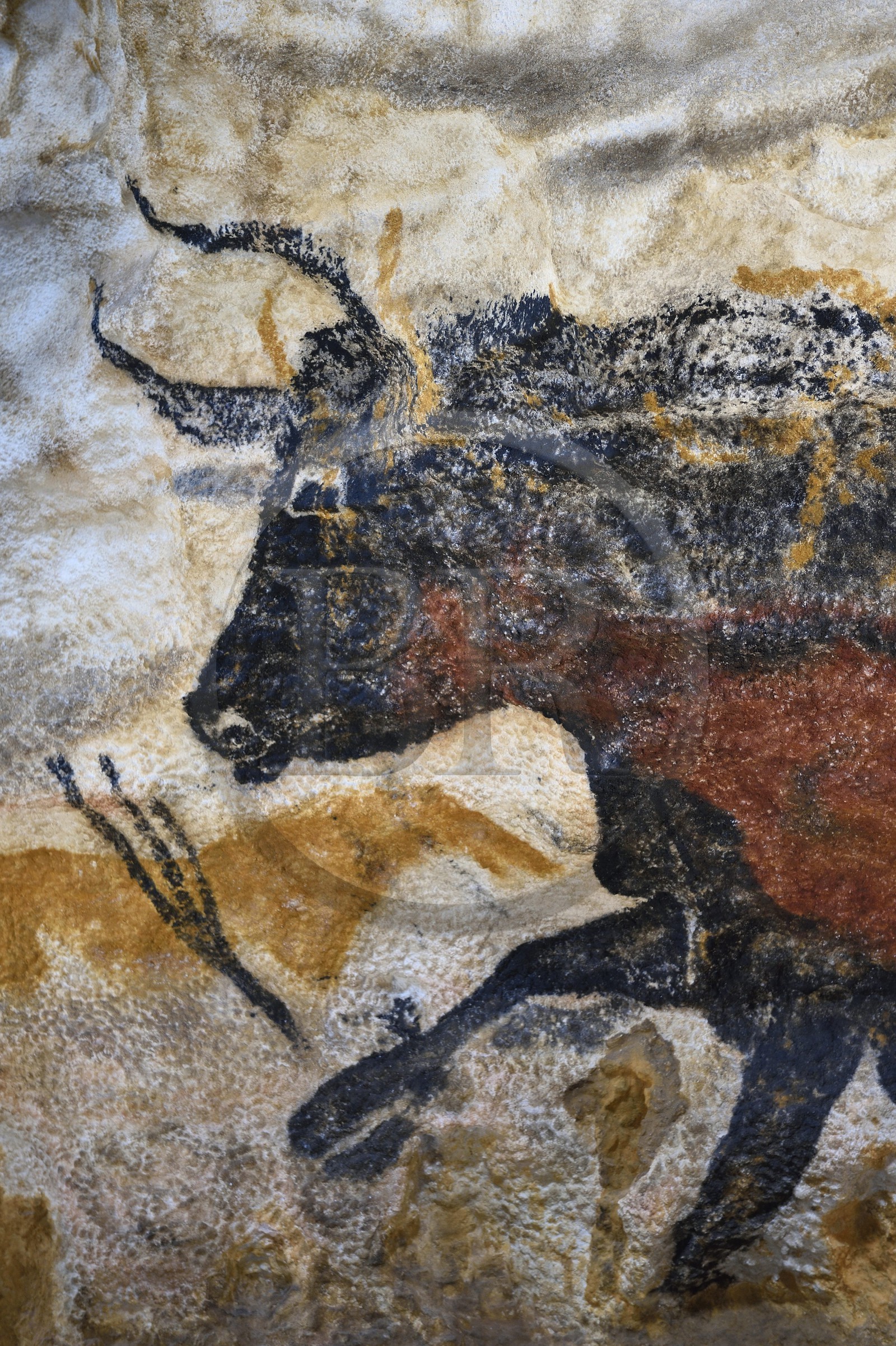 France, Dordogne (24), Montignac, l’Atelier des Fac-Similés du Périgord (AFSP) spécialisé dans la reproduction minérale de parois ornées de la préhistoire et en charge de la reconstitution fidèle des parois de la grotte de Lascaux, Aurochs, mention obligatoire Atelier des Fac-Similés du Périgord