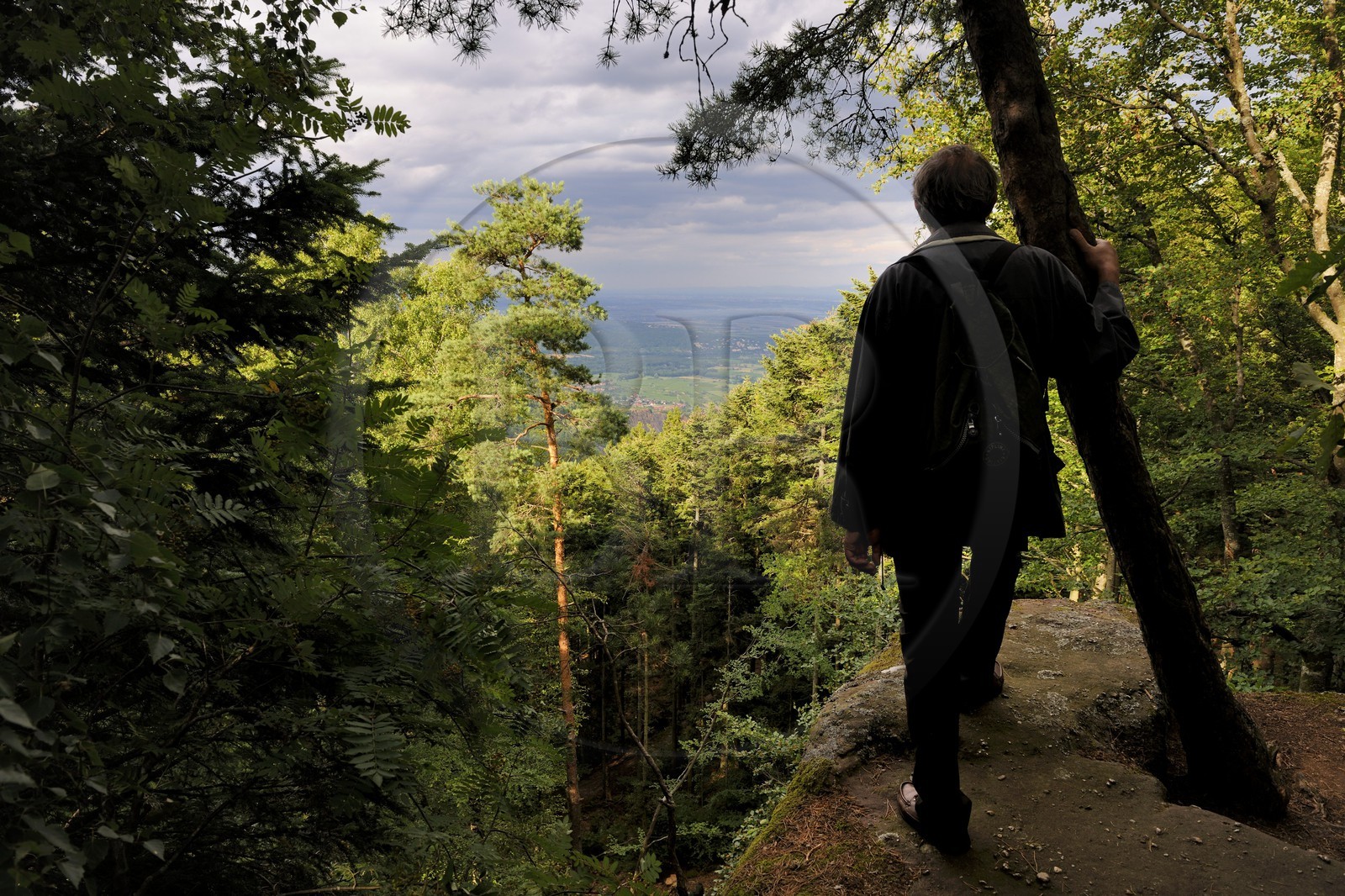France, Bas-Rhin (67), le Mont Saint-Odile, vue depuis un rocher en bordure du mur païen