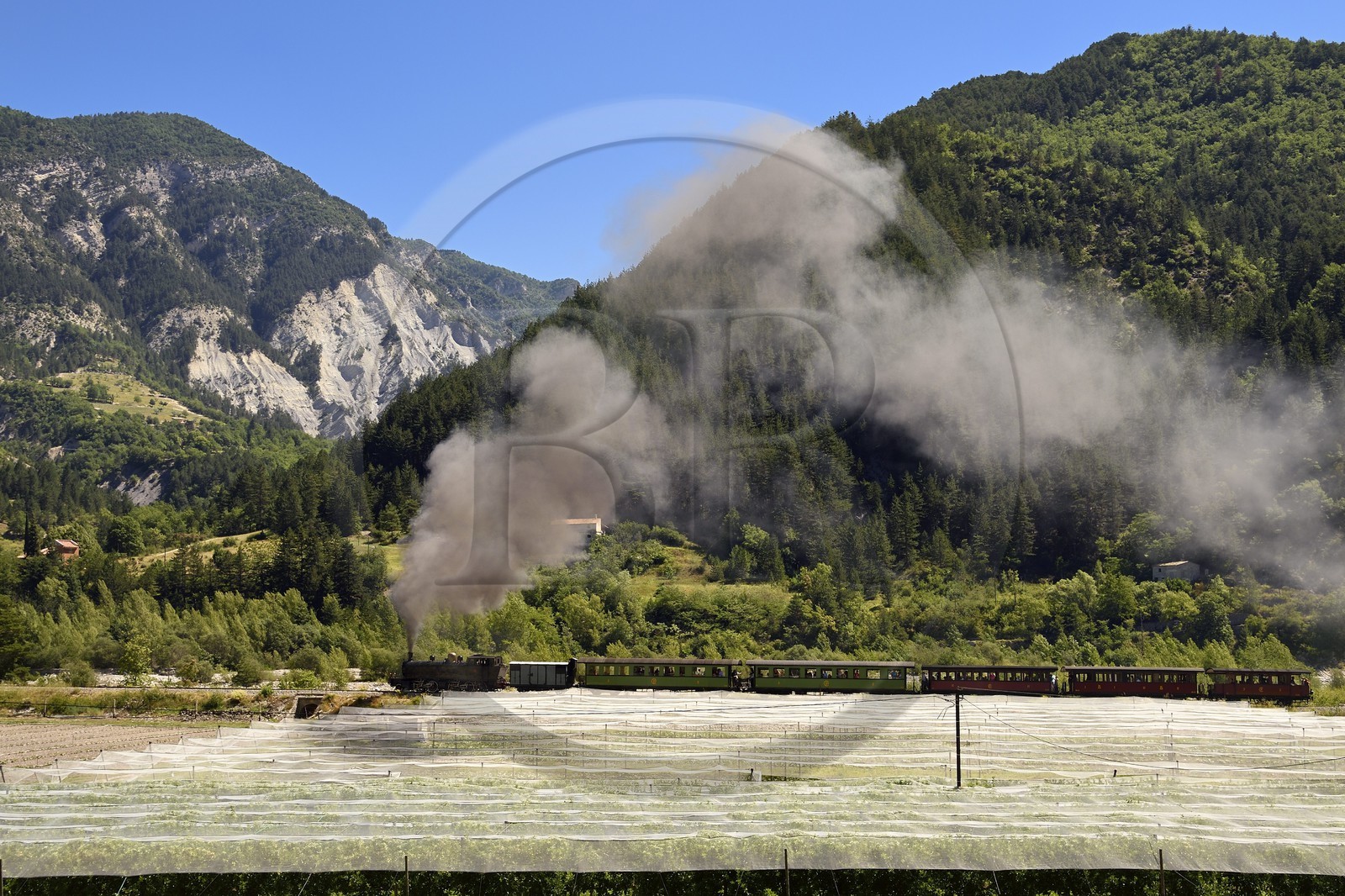 France, Alpes de Haute Provence, Entrevaux, Train des Pignes historic train between cultures and mountains