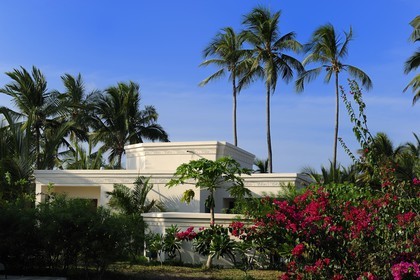 Tanzanie, archipel de Zanzibar, île de Unguja (Zanzibar), côte Sud-Est, Bwejuu, le luxueux Baraza Resort & Spa, un bungalow