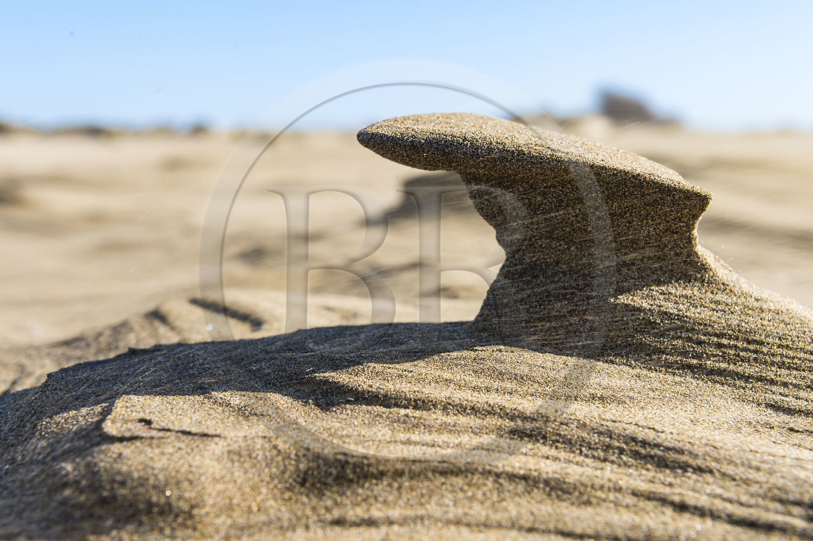 France, Gard (30), massif dunaire camarguais de la Pointe de l'Espiguette en bord de mer