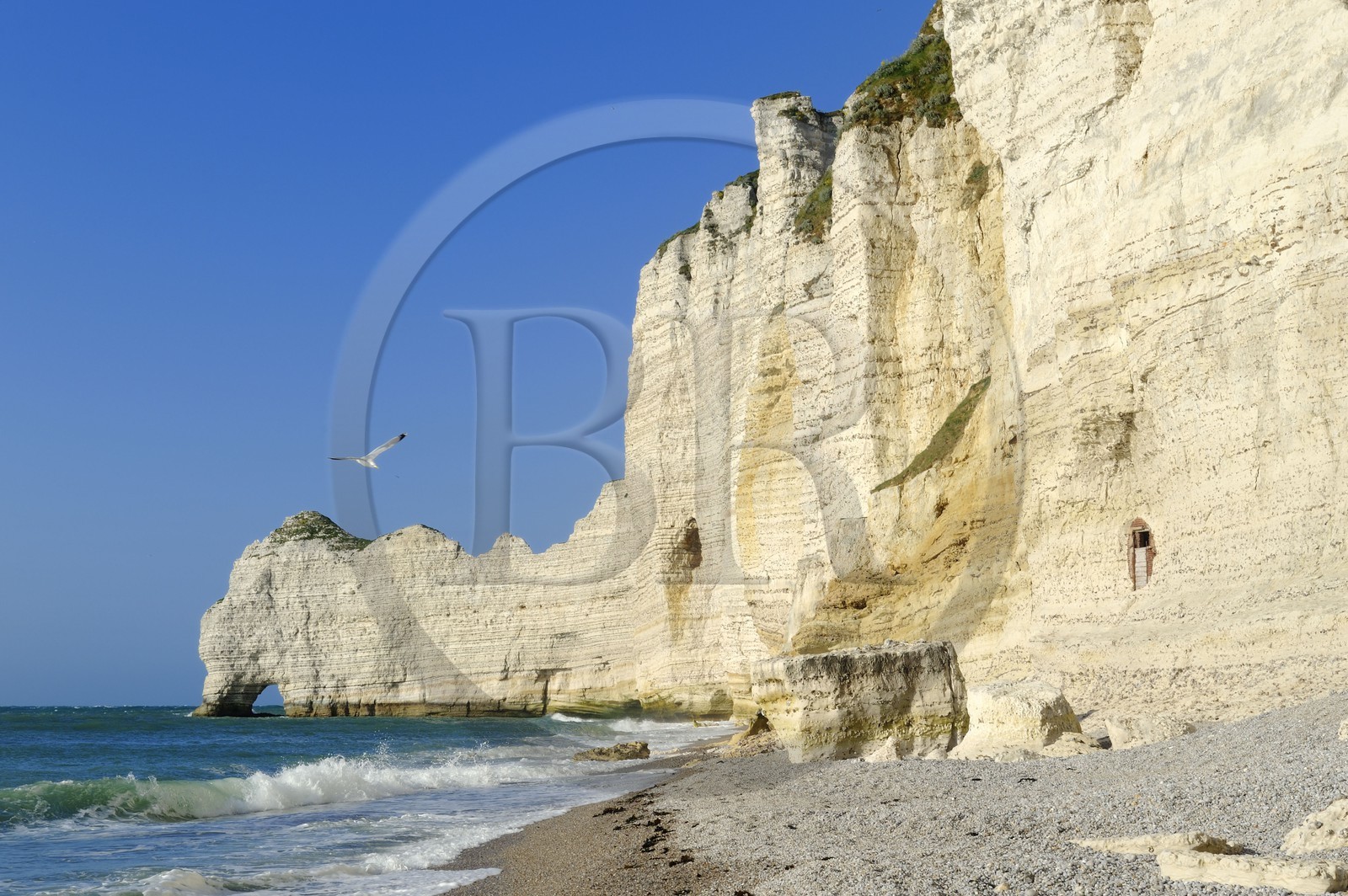 France, Seine-Maritime (76), Pays de Caux, Côte d'Albâtre, Etretat, la falaise d'Amont