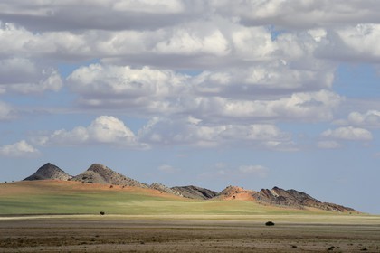 Namibie, région de Khomas, désert du Namib à l'Est du parc national Namib Naukluft
