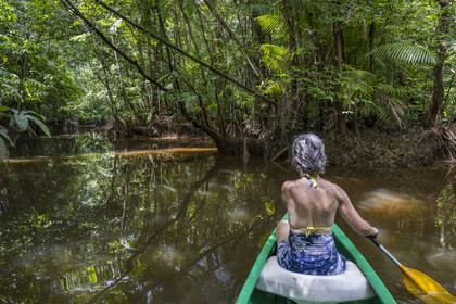 France, Guyane, Kourou, camp Maripas dans la forêt tropicale, découverte en canoé d'une crique, petite rivière, affluent du fleuve Kourou