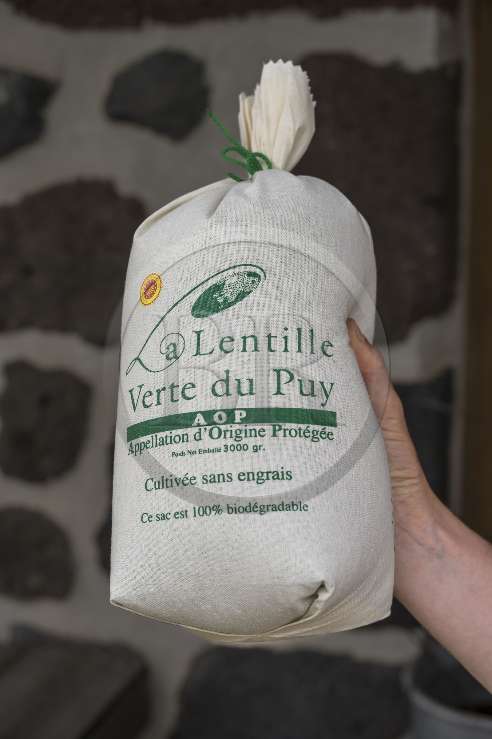 France, Haute-Loire (43), Bouchet-Saint-Nicolas, randonnée avec un âne sur le chemin de Stevenson (GR 70), rencontre avec Emilie et Pierre Villesèche de L'Arrestadou qui cultivent les lentilles vertes du Puy