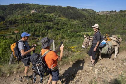 France, Haute-Loire (43), Goudet, le chateau de Beaufort construit vers 1200 domine la vallée de la Loire, randonnée avec un âne sur le chemin de Stevenson (GR 70)
