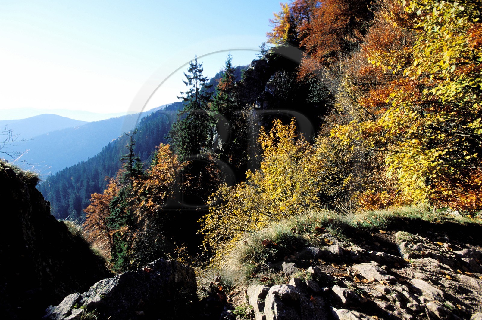 France, Haut Rhin, Vosges mountains near la Schlucht pass, Rocks Path
