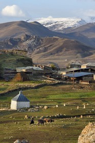 Azerbaijan, Quba (Guba) region, Greater Caucasus mountain range, village of Giriz at dawn, woman bringing her cows to meadows