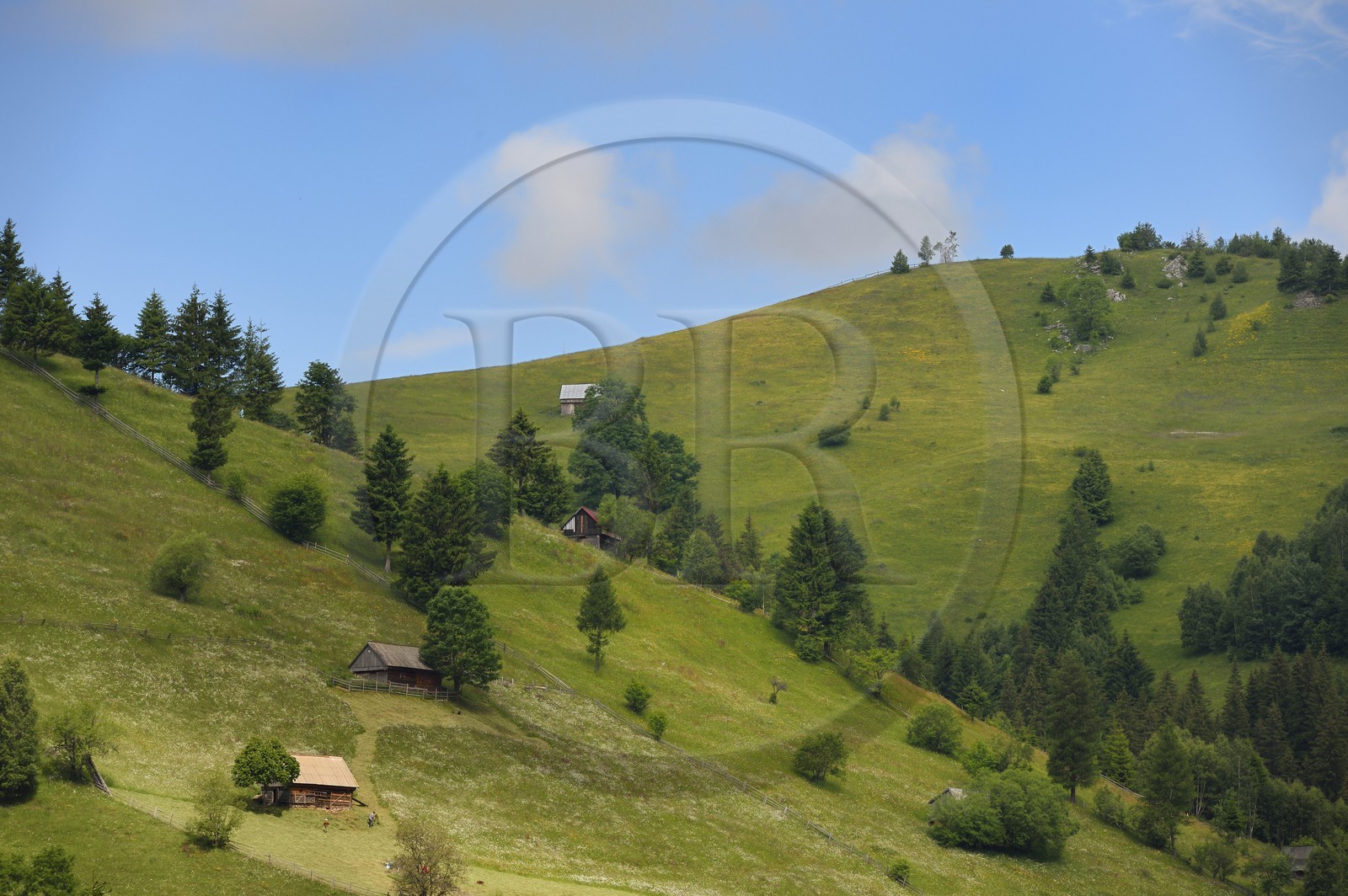 Roumanie, Transylvanie, région de Brasov, Moieciu de Sus dans les monts Fagaras dans les Carpates du Sud