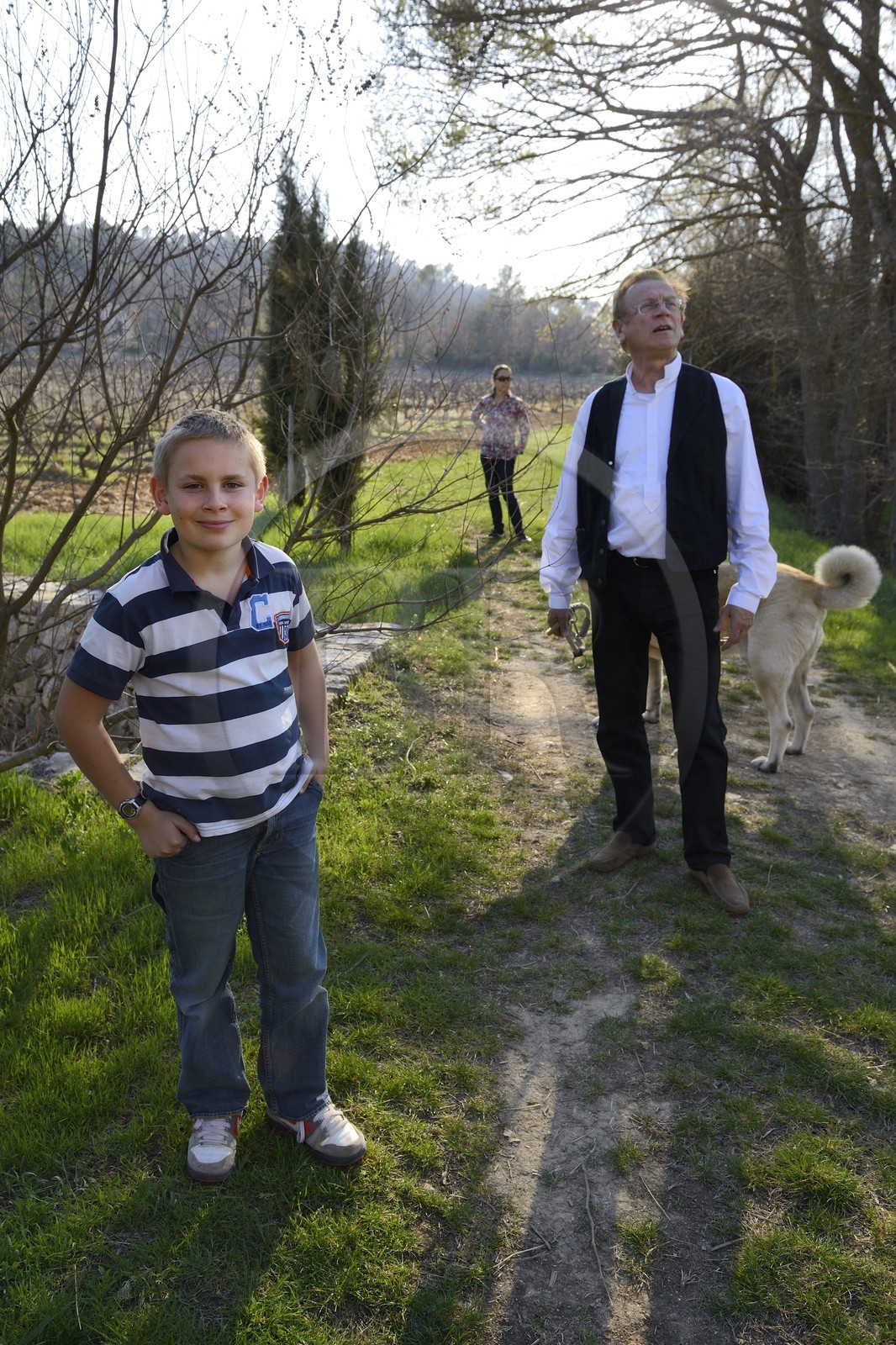 France, Var (83), Provence Verte, Bras, vers Saint-Maximin-la-Sainte-Baume, la maison d'hôtes Le Peyrourier, une campagne en Provence