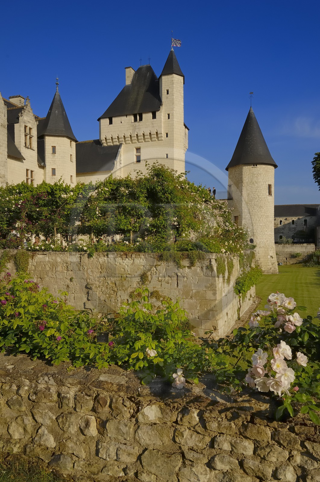 France, Indre et Loire, Chateau du Rivau