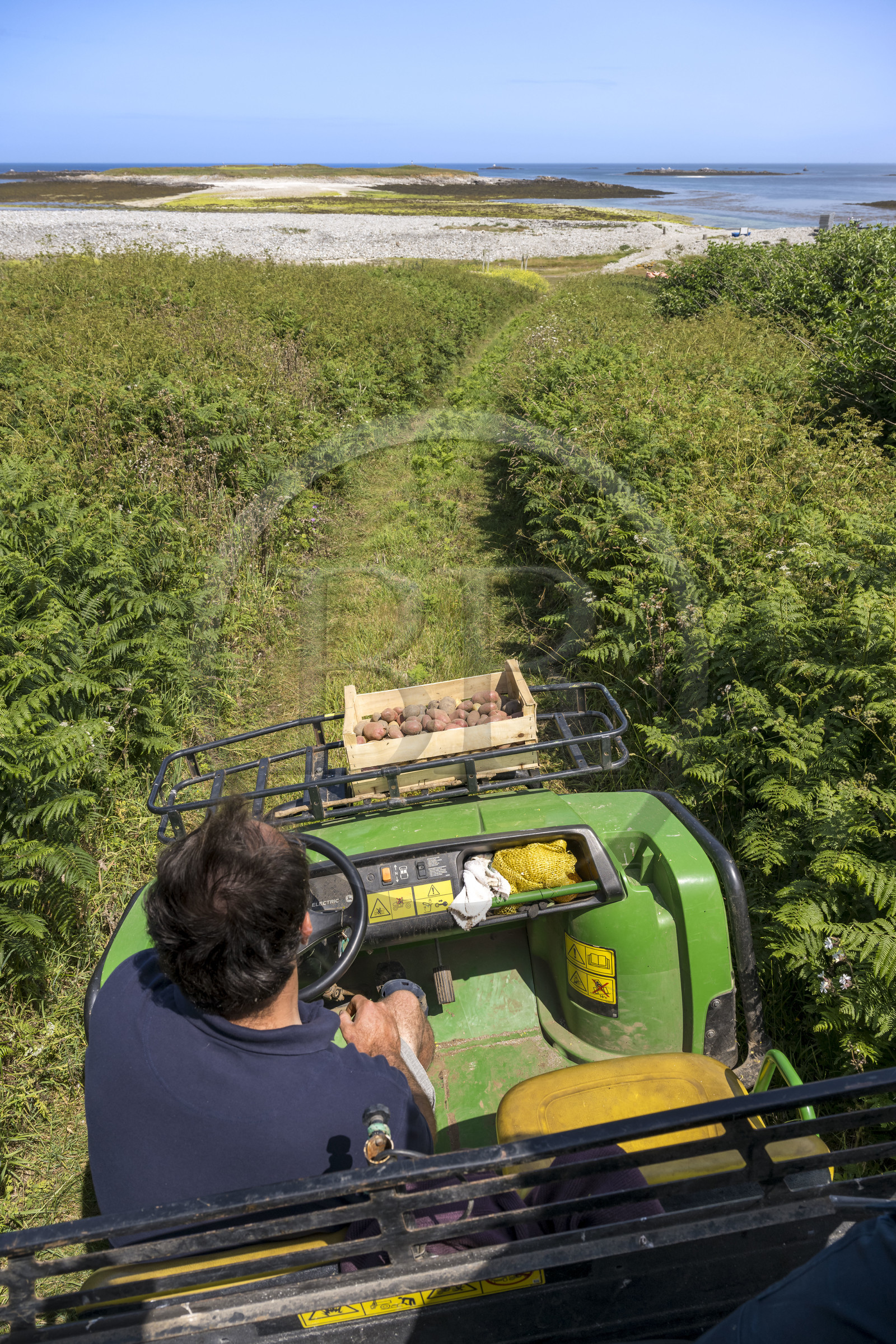 France, Finistère, Iroise Sea, Molene archipelago, Quemenes Island, organic and energy self-sufficient Quemenes farm, farmer Etienne Menguy