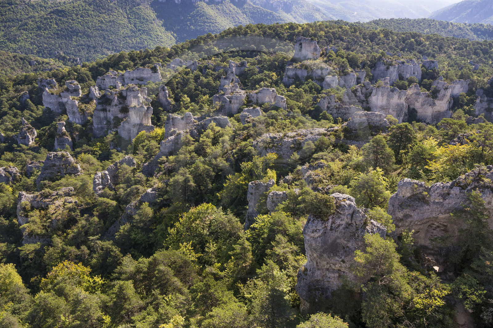France, Aveyron, Causses and the Cevennes, cultural landscape of Mediterranean agro-pastoralism, listed as World heritage by UNESCO, Causse Noir, La Roque Sainte Marguerite, chaos of Montpellier-le-Vieux, the Cité de Pierres (City of Stones)