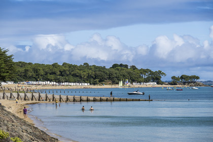France, Vendee, Noirmoutier island, Noirmoutier-en-l'Ile, the Sableaux Beach and the Pointe de Saint-Pierre in the background