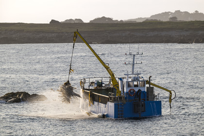 France, Finistère (29), Pays des Abers,