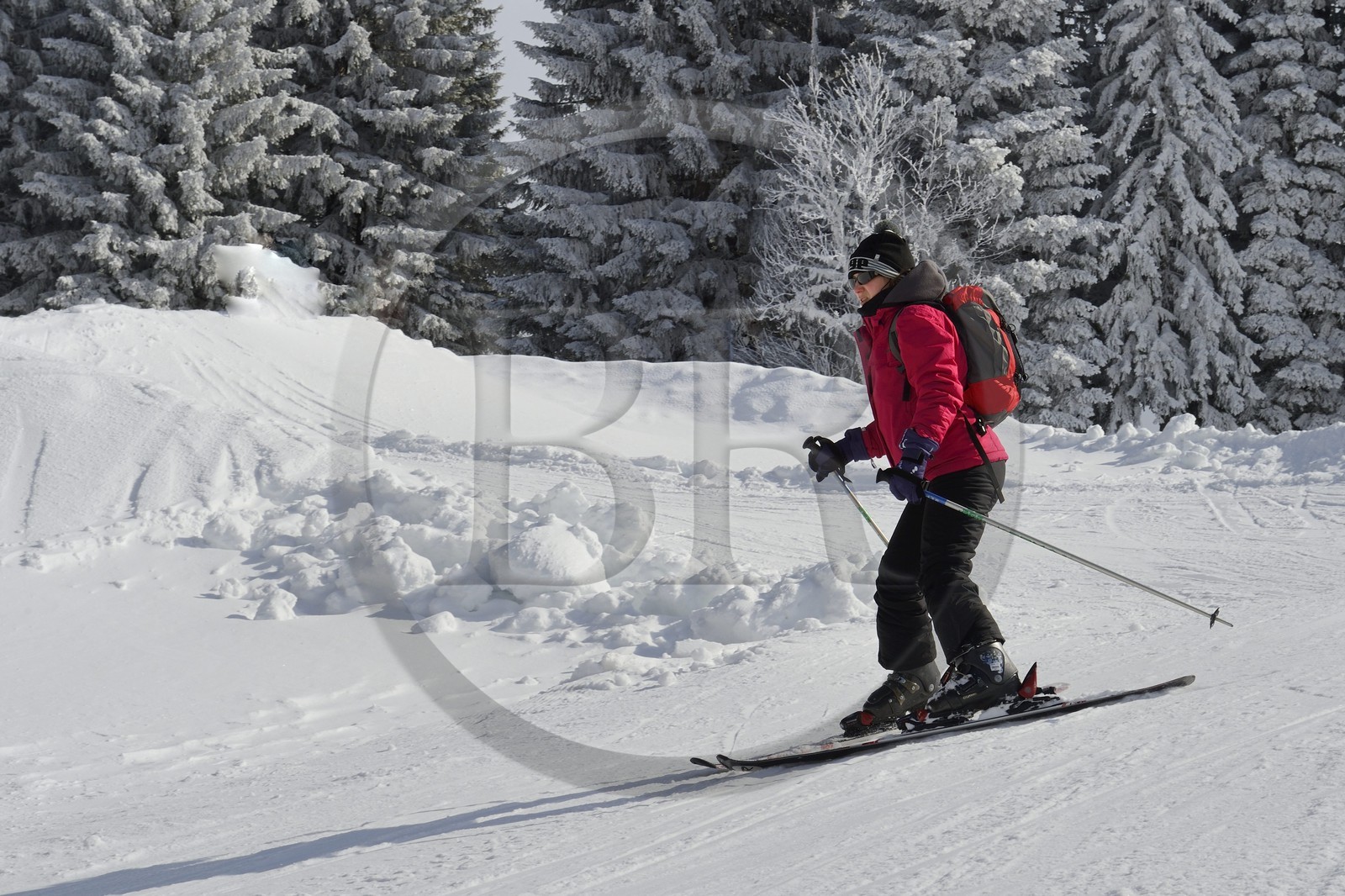 France, Haute-Savoie (74), Morzine