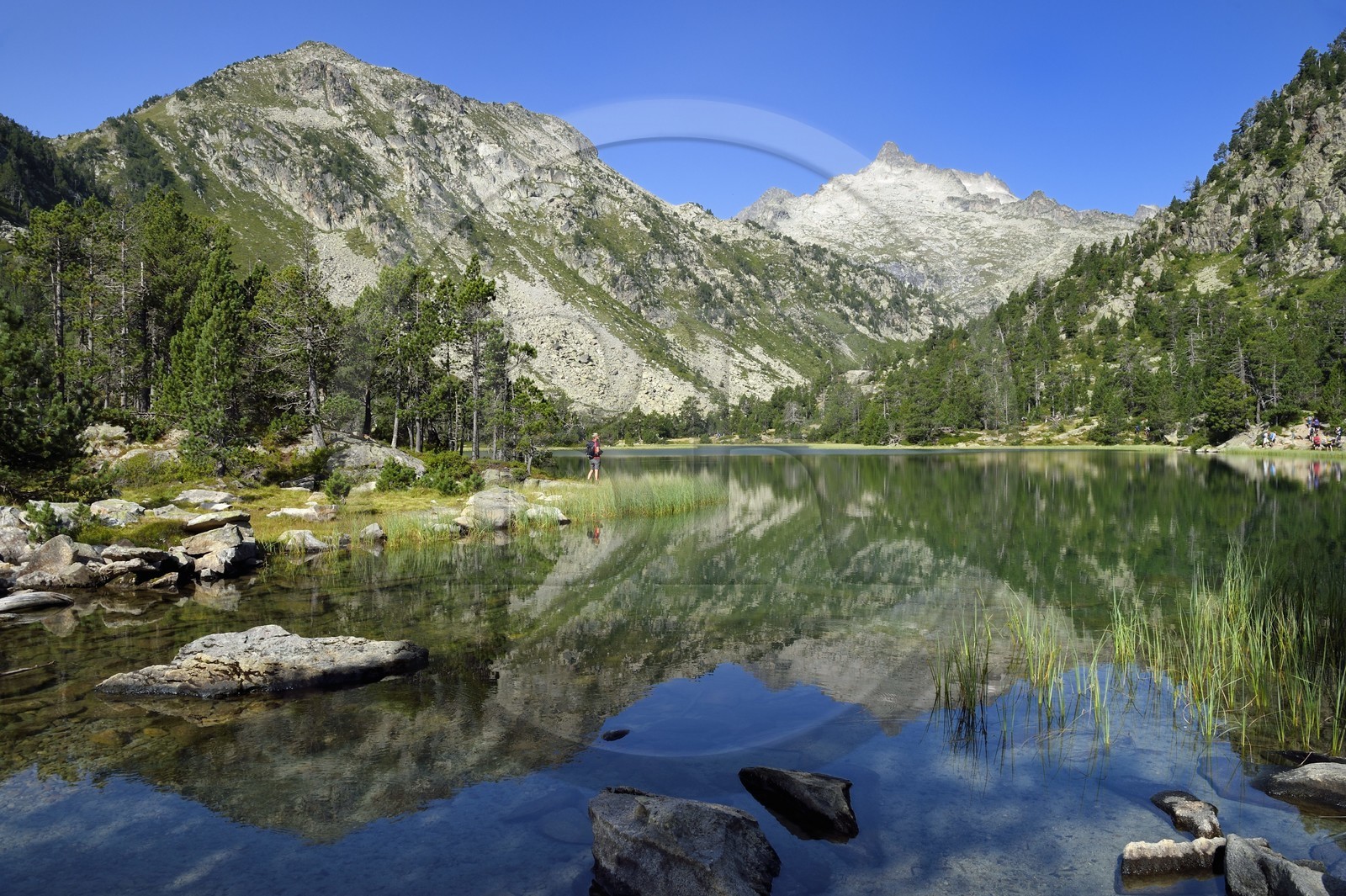 France, Hautes-Pyrénées (65), Saint-Lary-Soulan, Réserve naturelle nationale du Néouvielle, randonnée des lacs du Neouvielle, les Laquettes