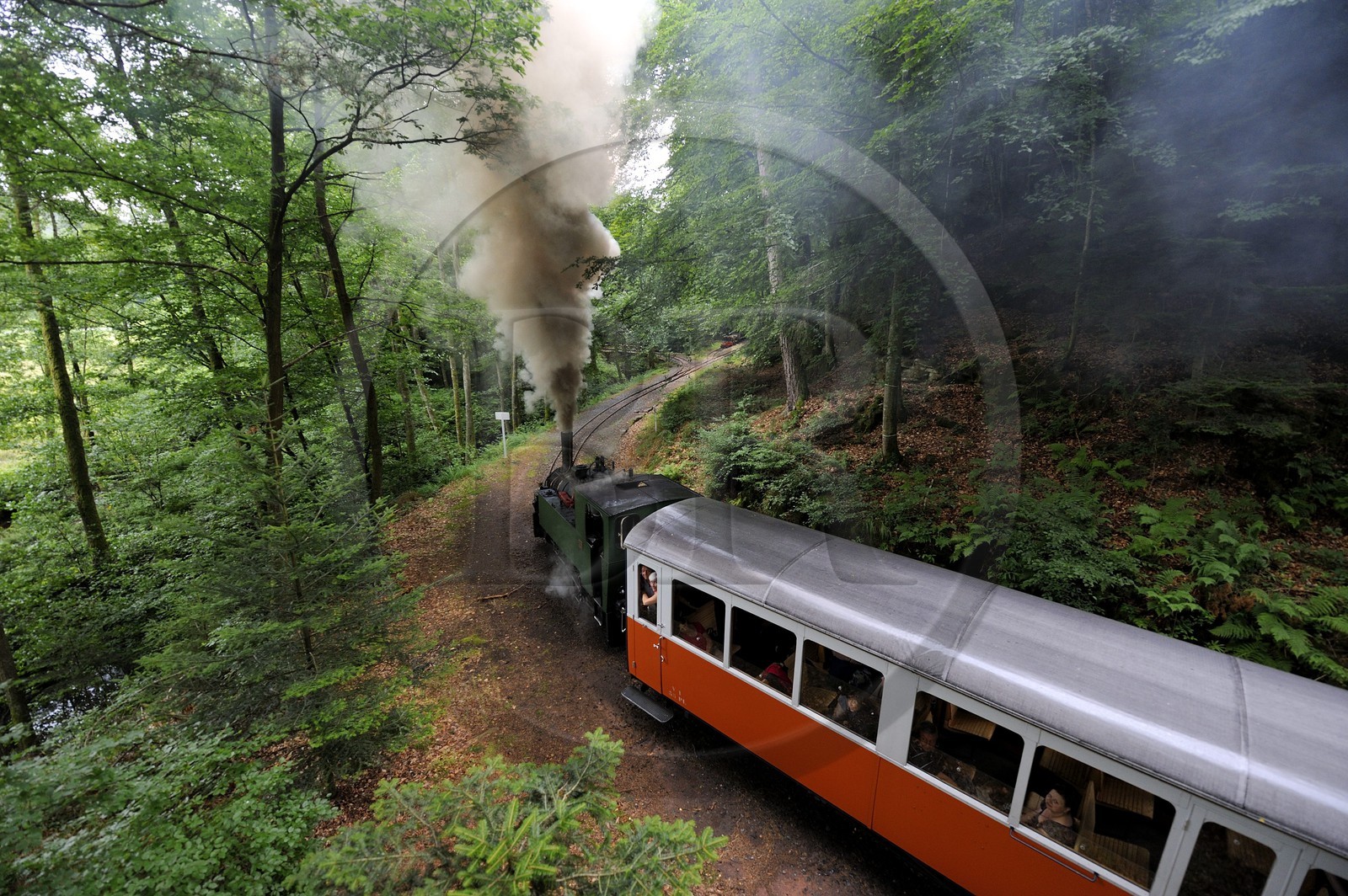 France, Moselle (57), Abreschviller, le petit train anciennement train forestier