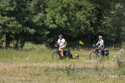 France, Maine-et-Loire, Loire valley listed as World Heritage by UNESCO, Saumur towards Saint-Hilaire, cycling on the banks of the Loire, bike with a trailer carrying camping equipment