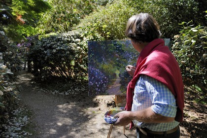 France, Seine-Maritime (76), Varengeville-sur-Mer, domaine Le Bois des Moutiers, le peintre Bertrand Laffillé s'inspire des grands rhododendrons du parc