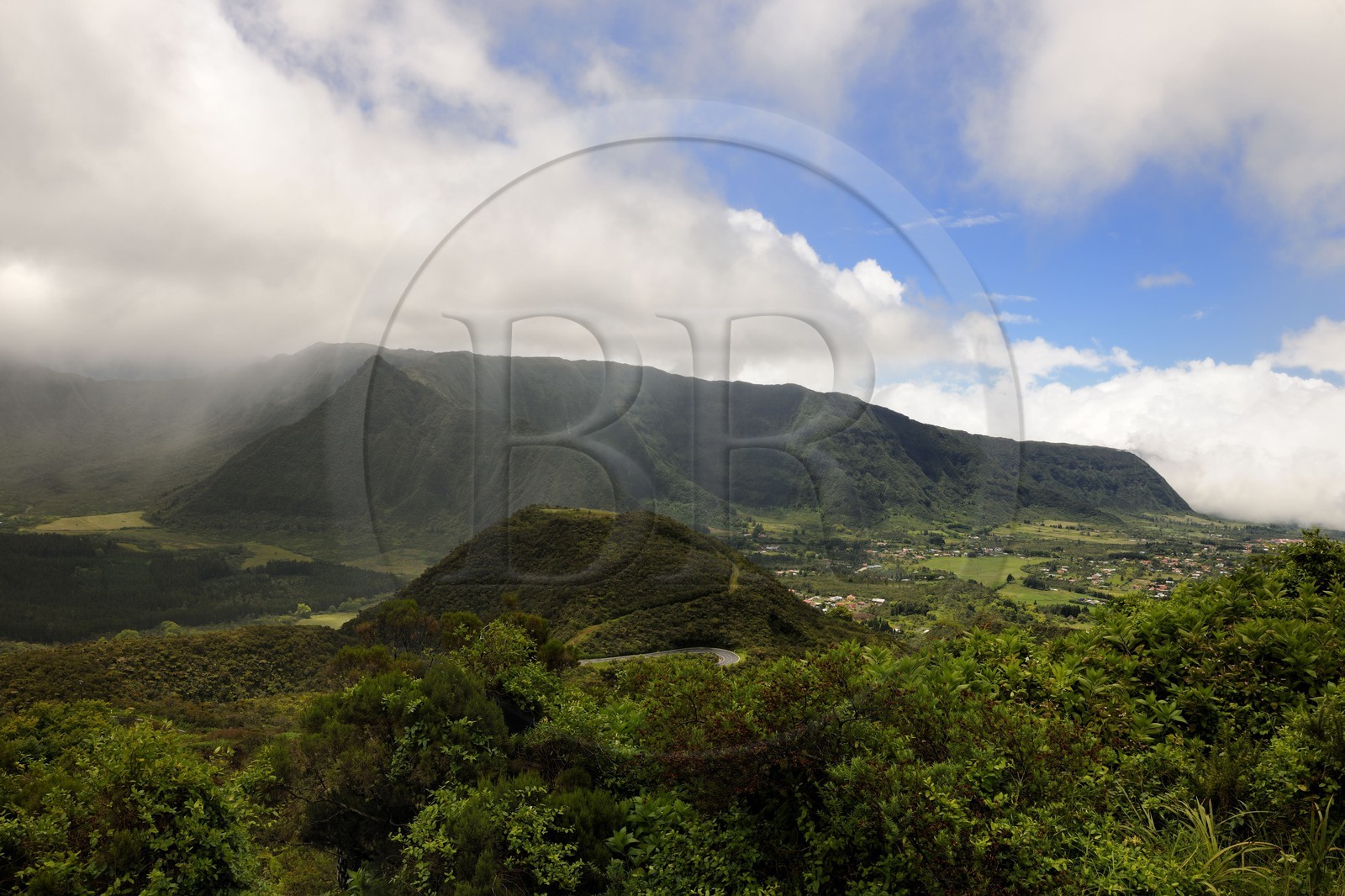 France, île de la Réunion, plaine des Palmistes