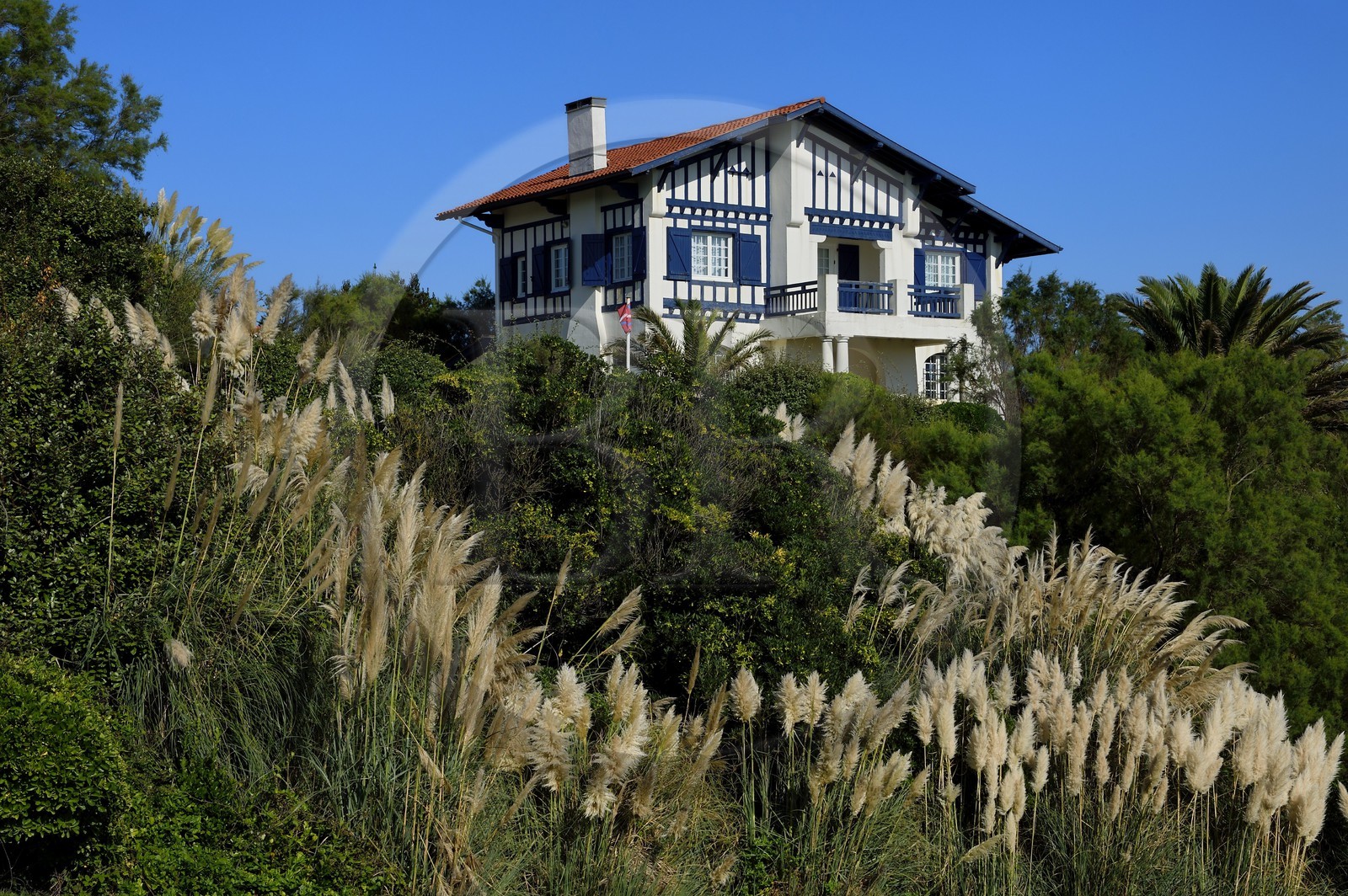 France, Pyrénées-Atlantiques (64), la côte du Pays-Basque, Bidart, maison traditionnelle de style néo-basque, au premier plan des herbes de la pampa (Cortaderia selloana)