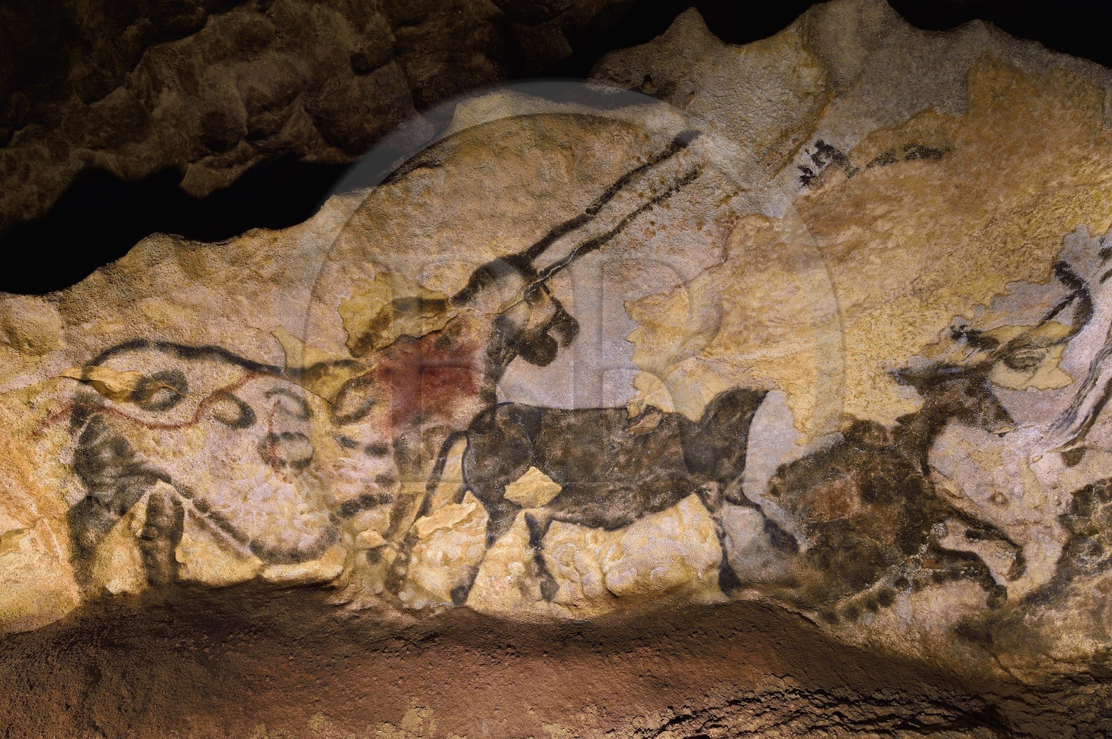 France, Dordogne (24), Périgord Noir, vallée de la Vezère, Montignac-sur-Vézère, Grotte de Lascaux II, reconstitution du site préhistorique et grotte ornée classés Patrimoine Mondial de l'UNESCO, animal surnommé La Licorne