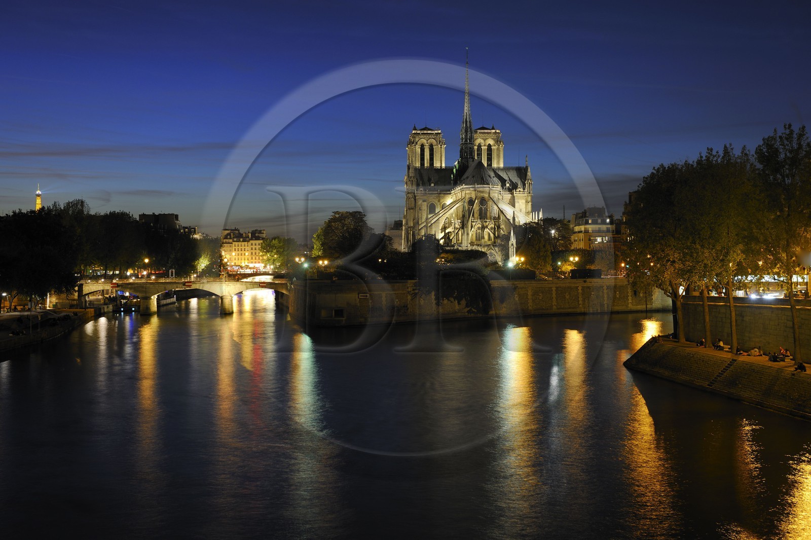 France, Paris (75), les rives de la Seine, classées Patrimoine Mondial de l'UNESCO, la cathédrale Notre-Dame