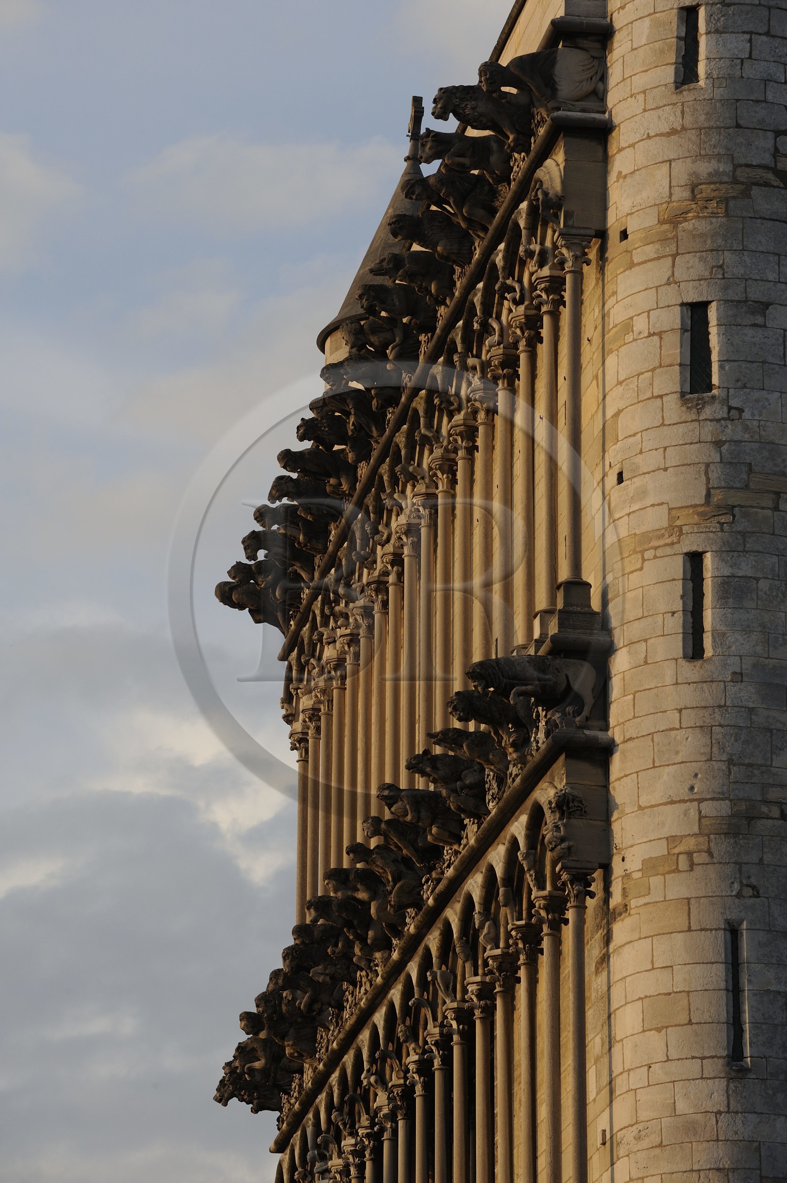 France, Côte d'Or (21), Dijon, l'église Notre-Dame (1230-1250), triple rangées de fausses gargouilles en façade