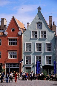 Estonie (Pays Baltes), région de Harju, Tallinn, capitale européenne de la culture 2011, place de l' Hôtel de Ville, le point central de la vieille ville