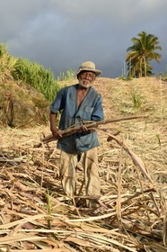France, Reunion island (French overseas department), south coast, Petite-Ile, creole sugarcane cutter in a sugar cane field