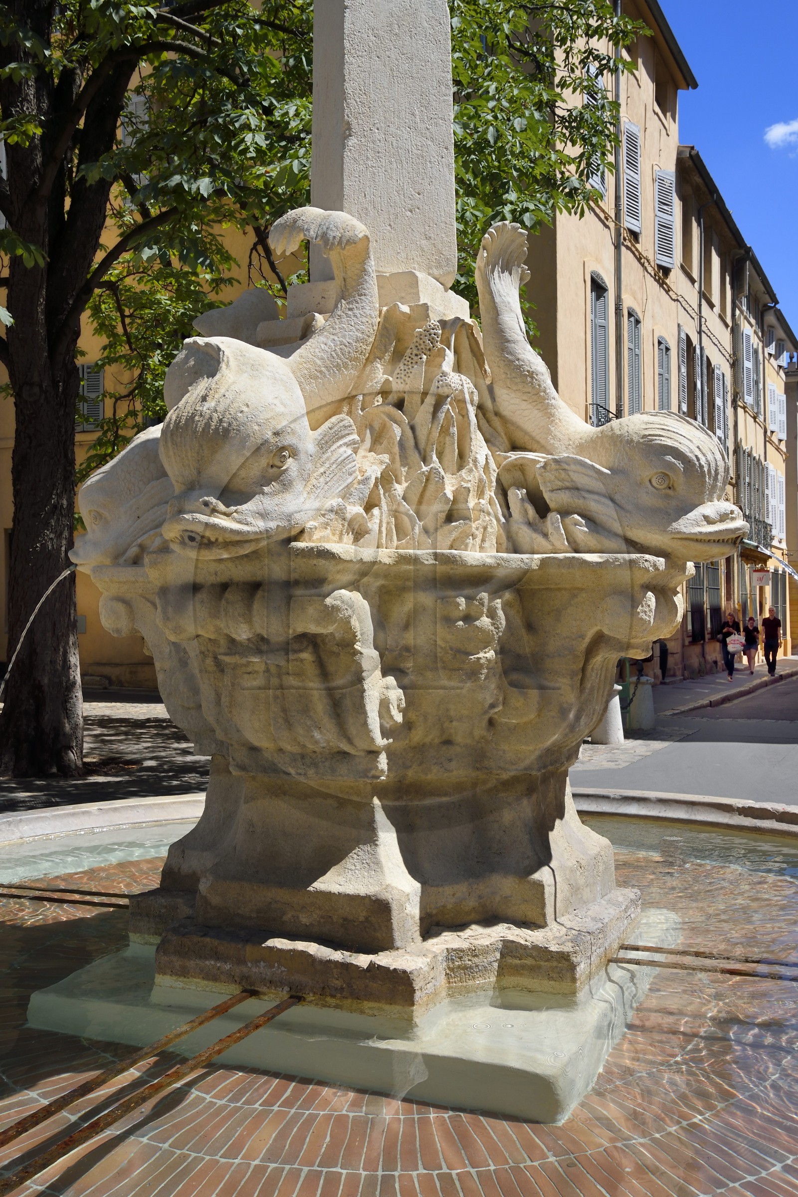 France, Bouches-du-Rhône (13), Aix en Provence, quartier Mazarin, fontaine et place des quatre Dauphins